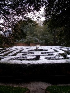View of the box wood maze taken from the top of the pyramid. This was from our 2010 trip, and it had just snowed. 