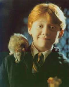 Rupert Grint played Ron in the Harry Potter movies. 