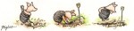 Piglet_3