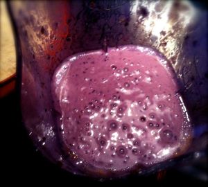 Berry Slurry