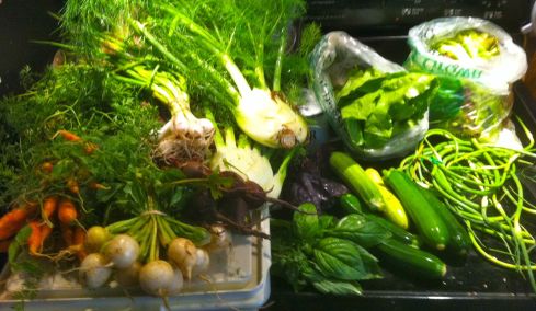 The box was bountiful this week. Carrots, turnips, beets, fennel, zucchini, garlic scrapes. romaine lettuce, mixed greens, eggs