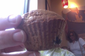 baked muffin