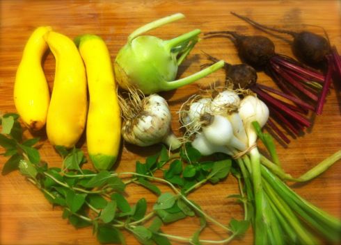 Yellow squash, Kohlrabi, Beets, Spring Onion, Sage, Garlic. (Not shown: Mint)