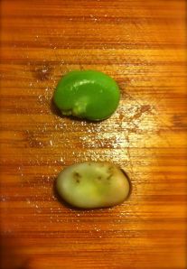 Top -- Fava good Bottom -- Fava bad (well Fava still in the outer shell, and it will TASTE bad if you eat it.)