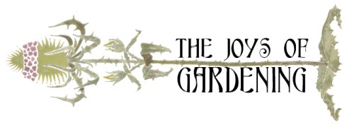 THE JOYS OF GARDENING