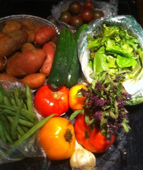 In this week's box from Calverts Gift CSA I found: Green beans, tomatoes, french  fingerling  potatoes, sweet peppers, spring mix cucumbers, cherry tomatoes, garlic 
