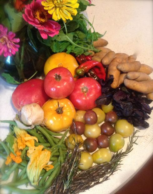 From our CSA box from Calvert's Gift. 