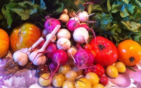 escarole Tomatoes cherry tomatoes garlic turnips Napa cabbage Bok Choi Jalepenos 