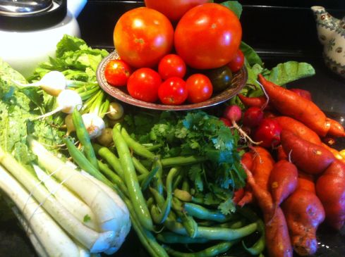 Week 16 from Calvert Gifts CSA  Cilantro Tomatoes Sweet potatoes jalepeno peppers* cherry tomatoes radishes bok choi broccoli raab* (I swapped the peppers and broccoli raab for more cilantro and some turnips)