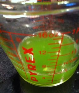 Zucchini juice green -- why isn't there a Crayola Crayon in this color?