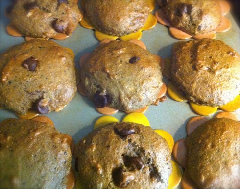 Blueberry, Almond, Choc. Chip muffins fresh from the oven.