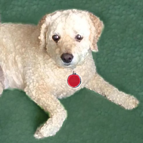 RITA Honey's Christmas 3